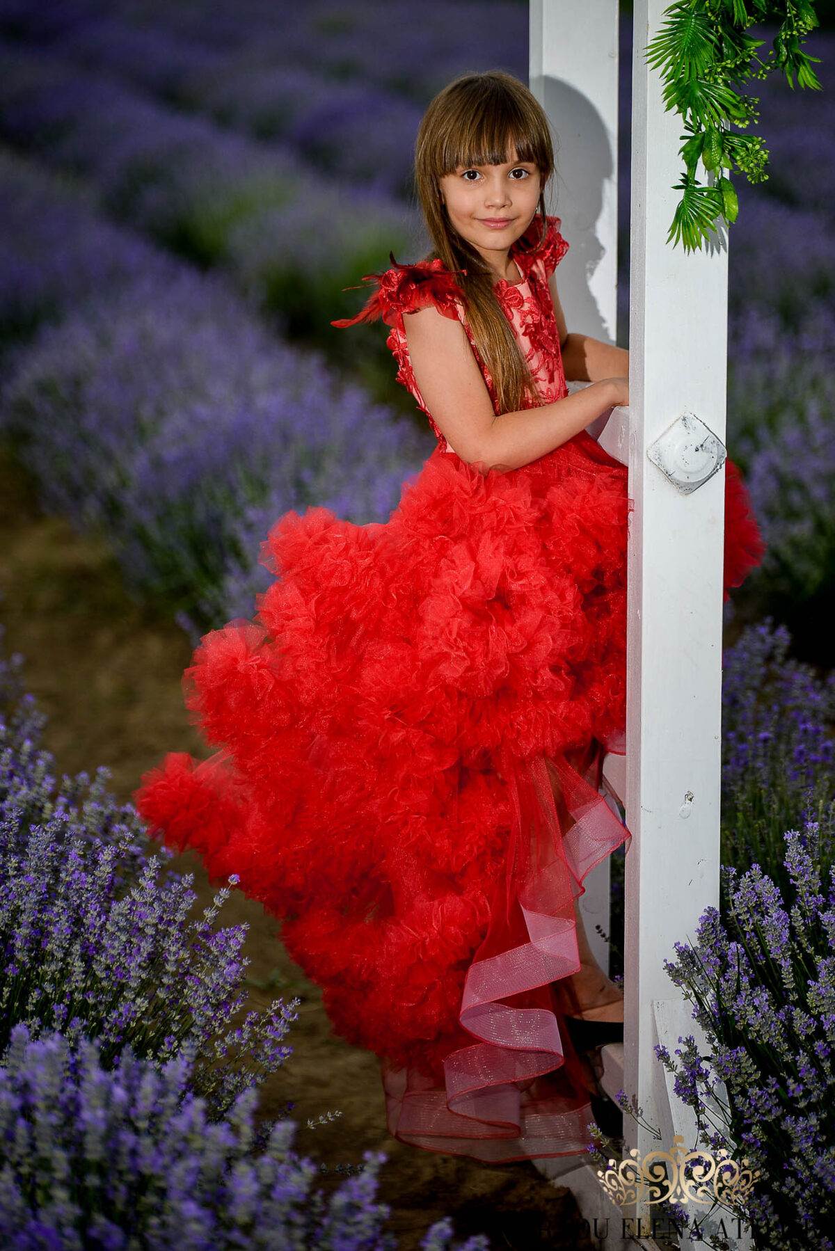 Harmony-rochită - imagine 2