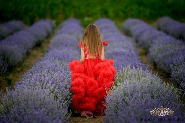 Harmony-rochită - imagine 4