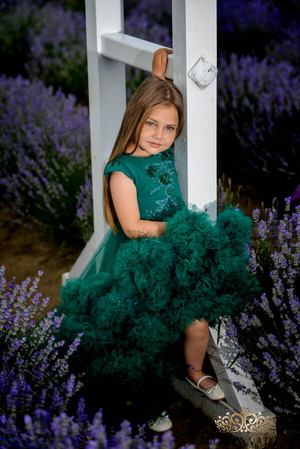 Petal-rochită - imagine 3