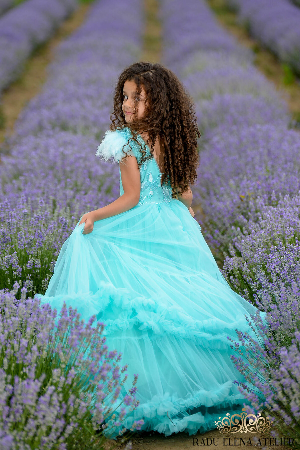 Roua-rochită - imagine 3