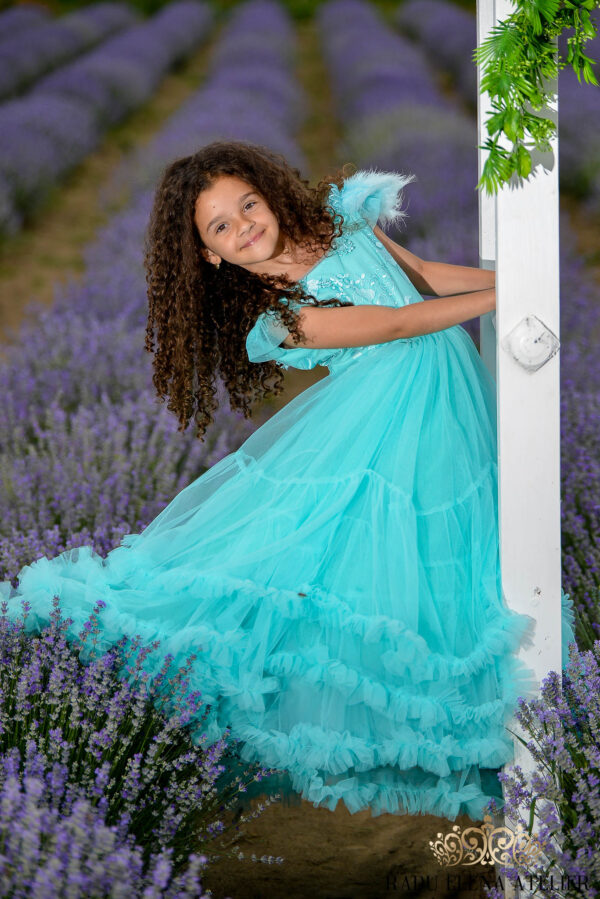 Roua-rochită - imagine 4