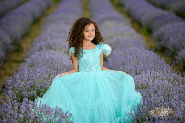 Roua-rochită - imagine 5