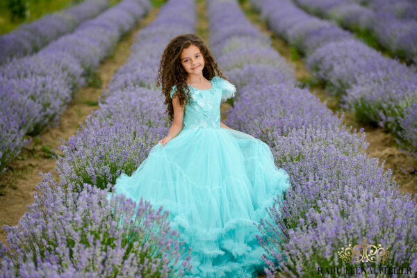 Roua-rochită - imagine 6