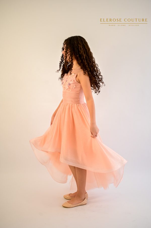 Amerya-rochita - imagine 4