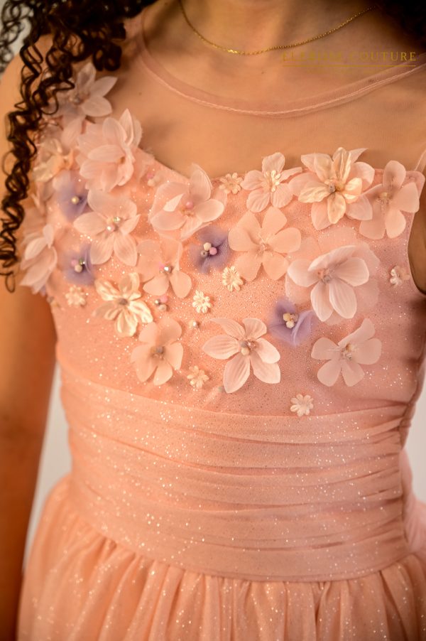 Amerya-rochita - imagine 8